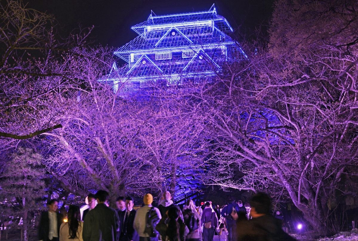 🌸 춤추는 학 공원 (마이즈루 코엔) 이미지 6